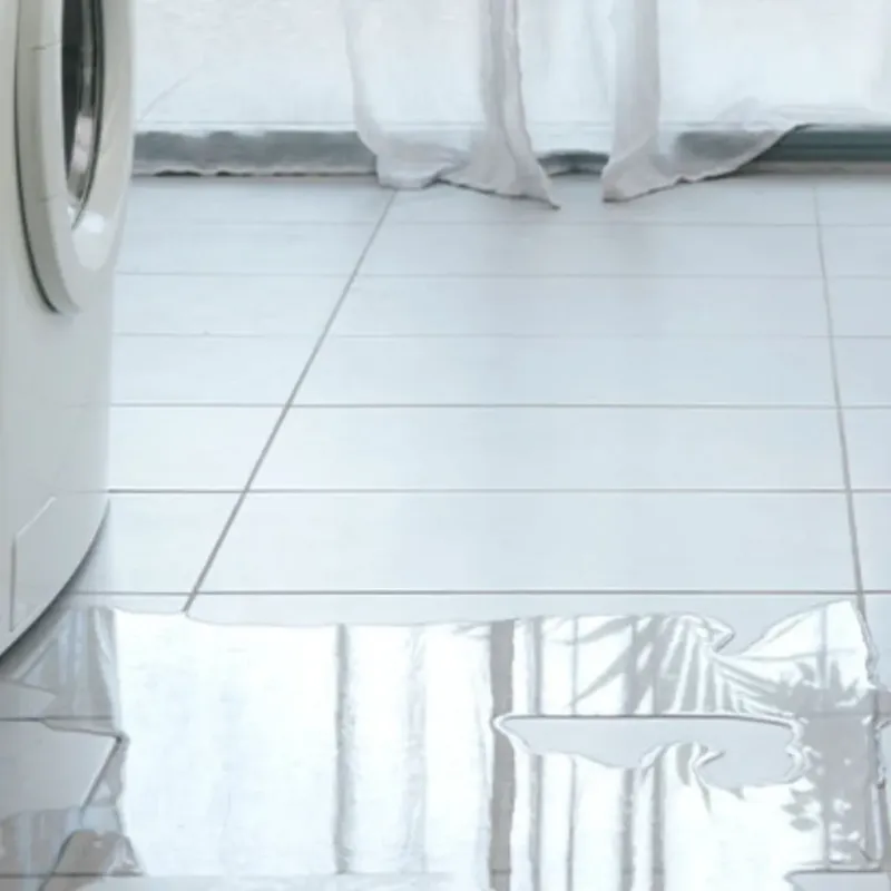 Appliance Leak Cleanup in Salisbury, MD
