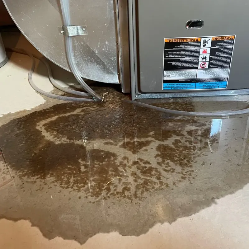Pipe Burst and Leak Restoration in Salisbury, MD